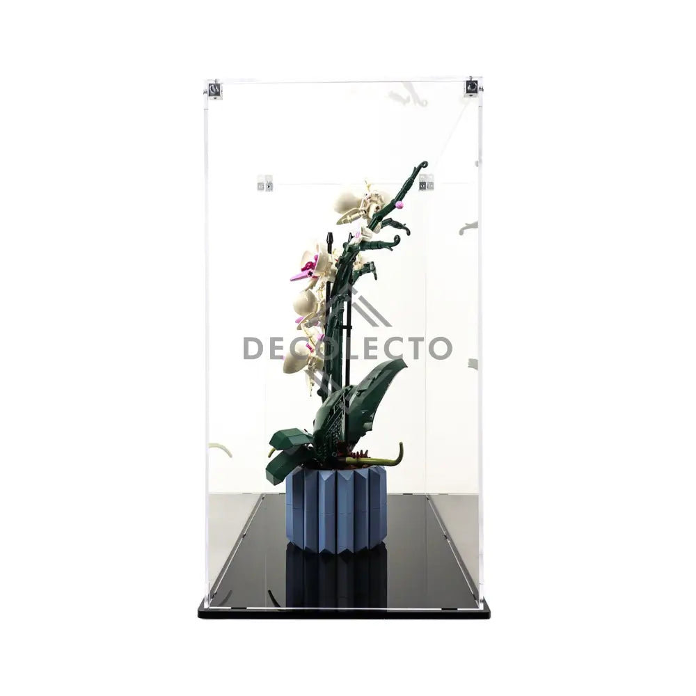 Protector para Orchids (10311)-acrilico-exhibidor-caja-case-Decolecto