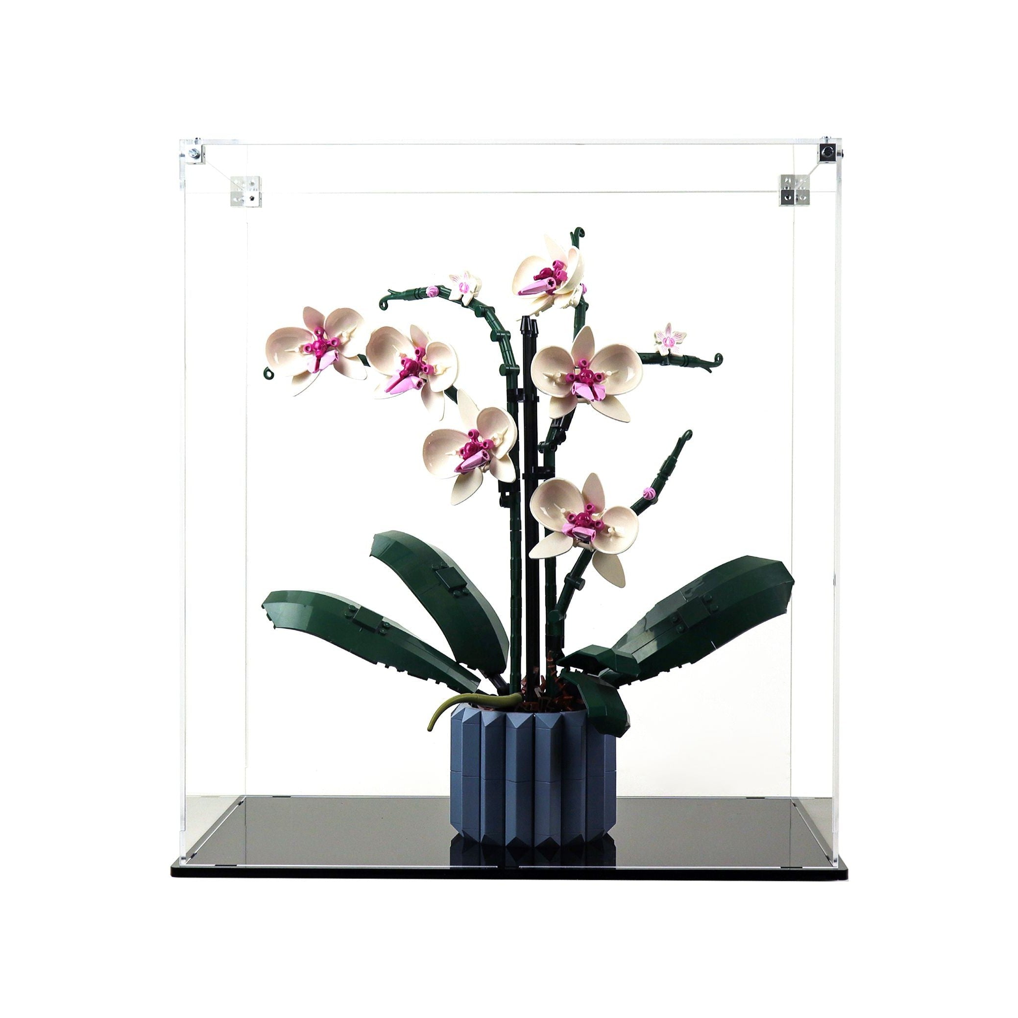 Protector para Orchids (10311)-acrilico-exhibidor-caja-case-Decolecto