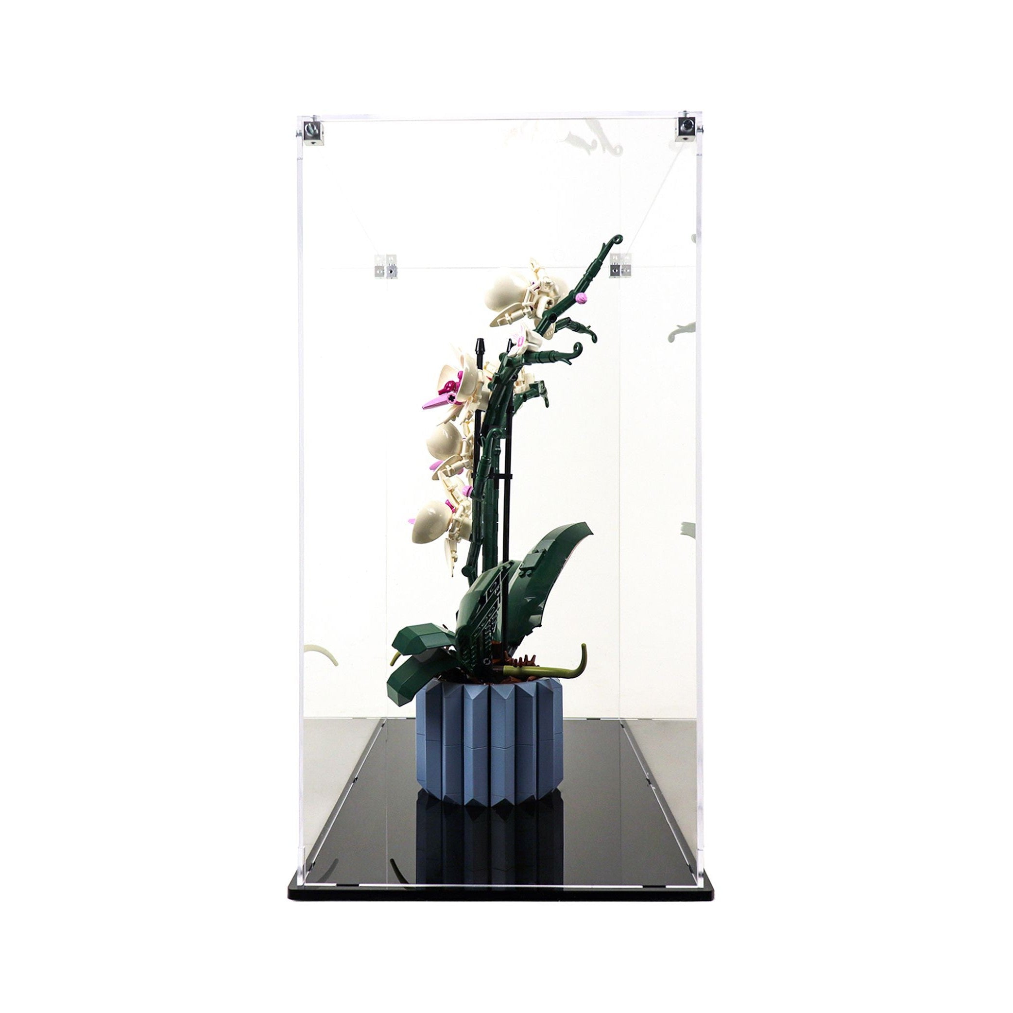 Protector para Orchids (10311)-acrilico-exhibidor-caja-case-Decolecto