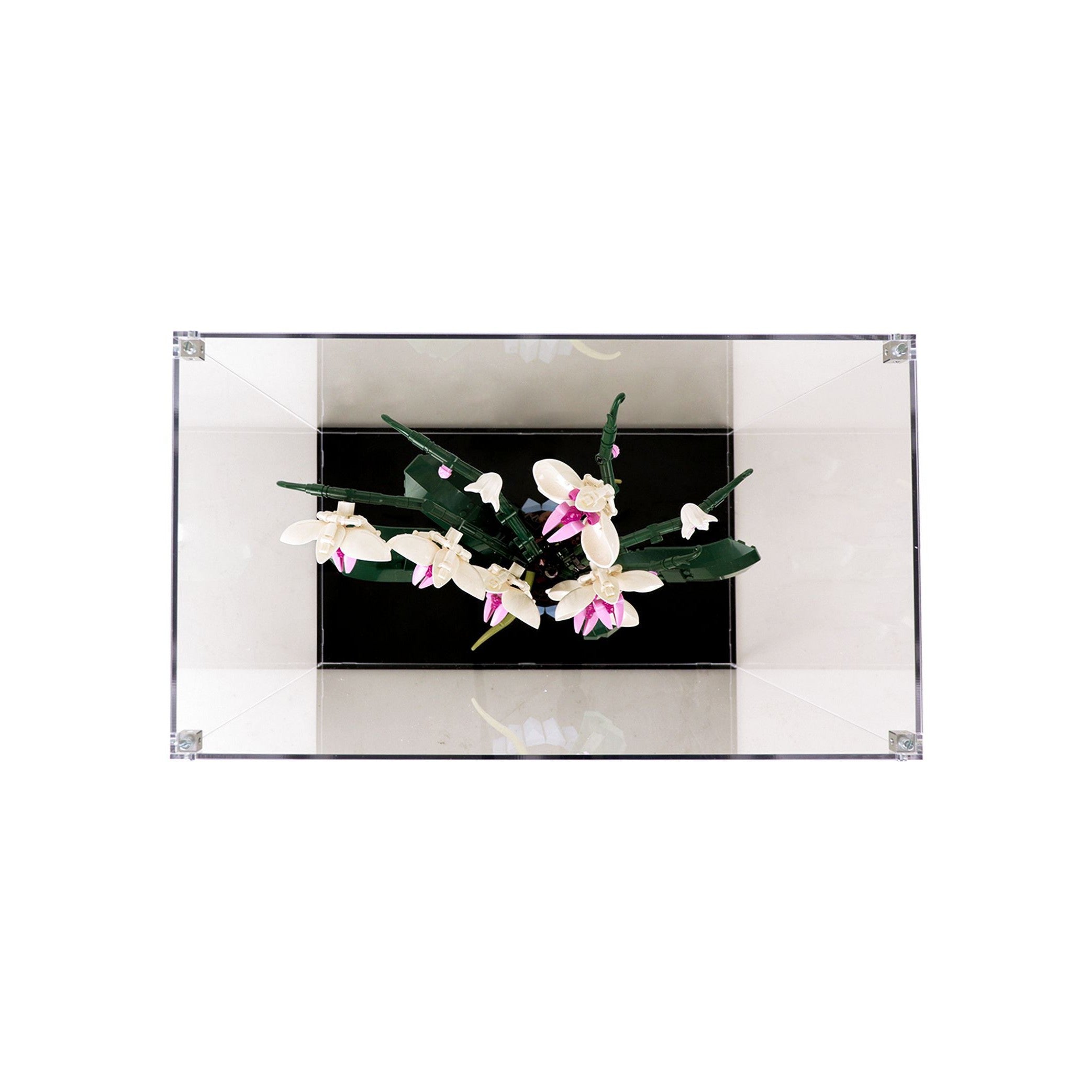 Protector para Orchids (10311)-acrilico-exhibidor-caja-case-Decolecto