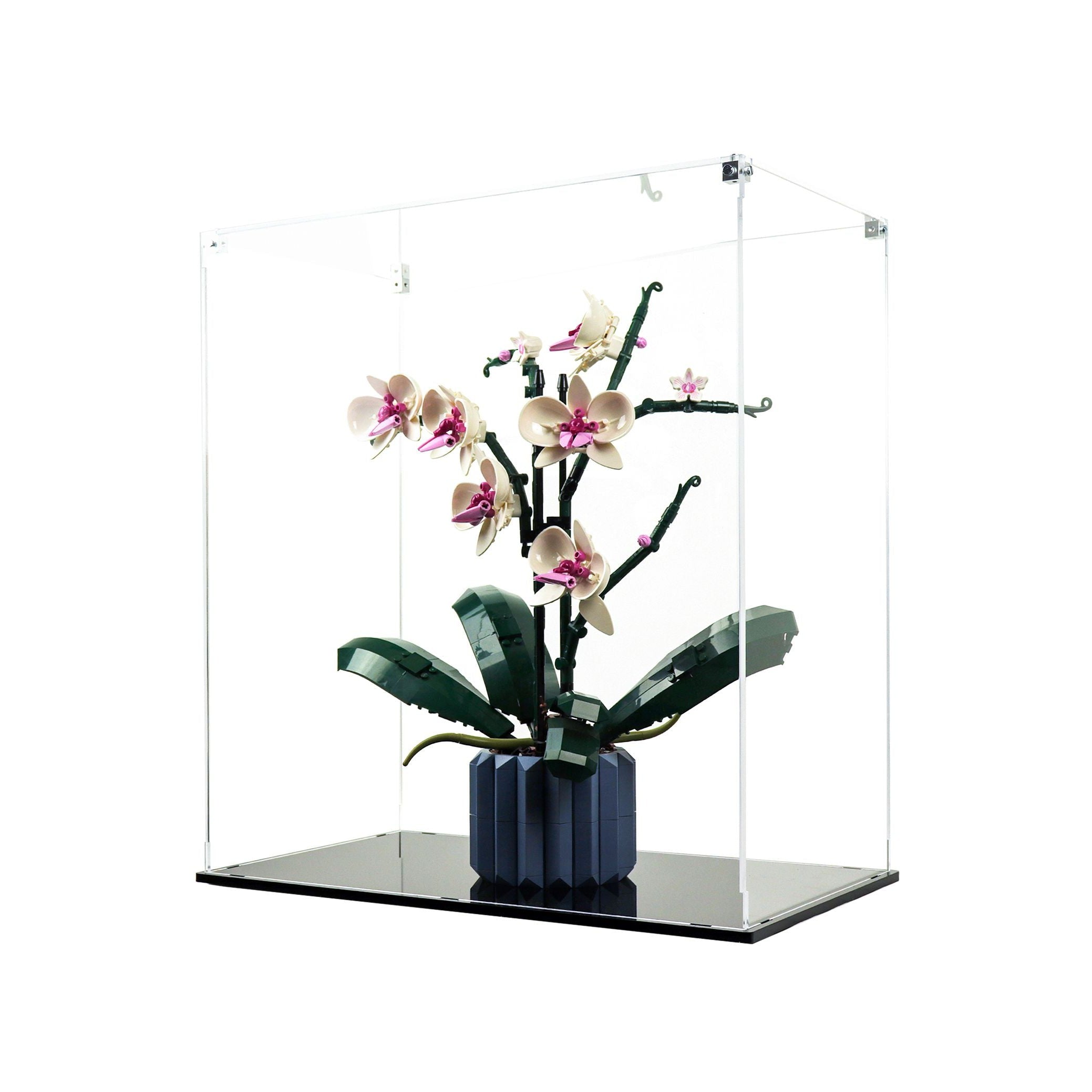 Protector para Orchids (10311)-acrilico-exhibidor-caja-case-Decolecto