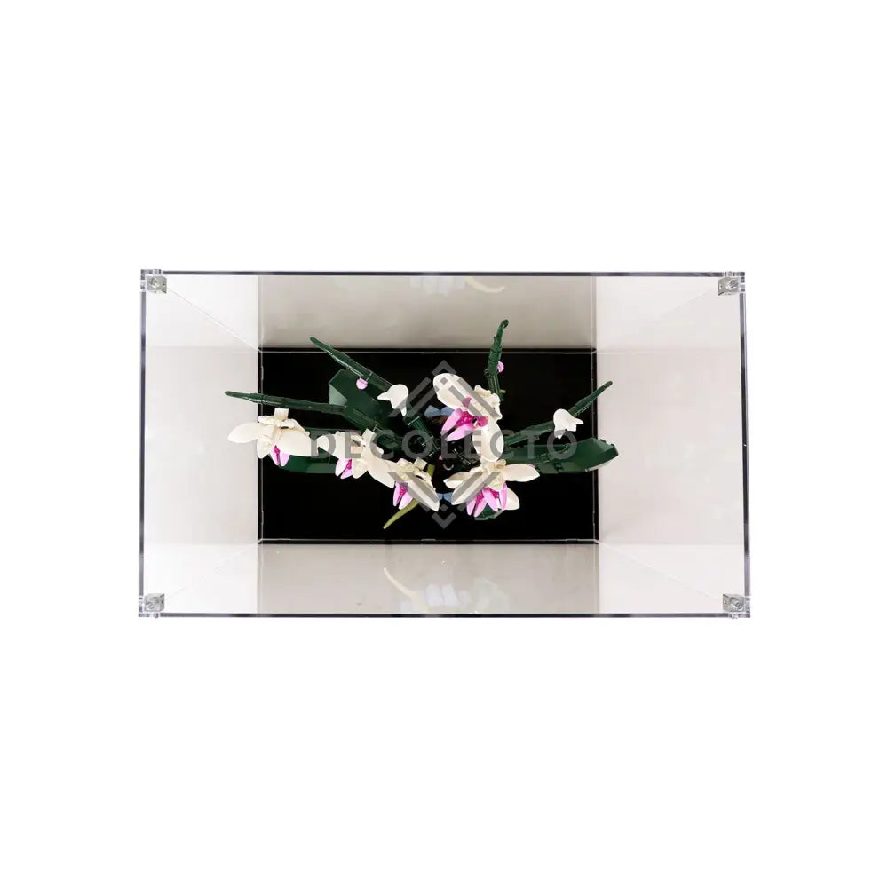 Protector para Orchids (10311)-acrilico-exhibidor-caja-case-Decolecto